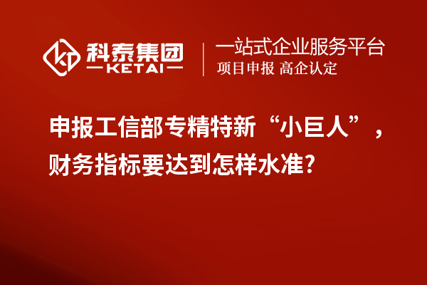 申報(bào)工信部專精特新 “小巨人”，財(cái)務(wù)指標(biāo)要達(dá)到怎樣水準(zhǔn)?