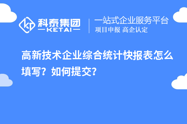 高新技術(shù)企業(yè)綜合統(tǒng)計(jì)快報(bào)表怎么填寫(xiě)？如何提交？