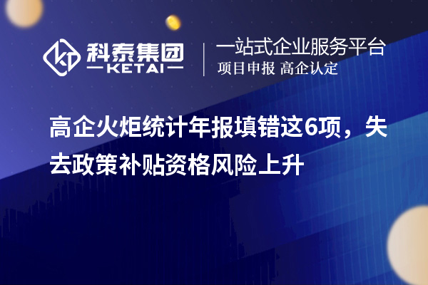 高企火炬統(tǒng)計(jì)年報(bào)填錯(cuò)這6項(xiàng)，失去政策補(bǔ)貼資格風(fēng)險(xiǎn)上升