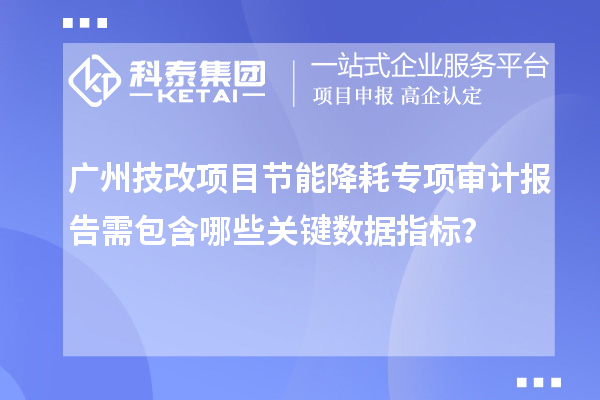 廣州技改項目節(jié)能降耗專項審計報告需包含哪些關(guān)鍵數(shù)據(jù)指標(biāo)？