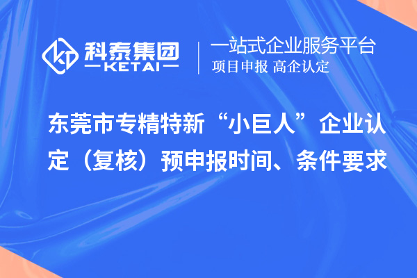 東莞市專精特新“小巨人”企業(yè)認(rèn)定（復(fù)核）預(yù)申報(bào)時(shí)間、條件要求