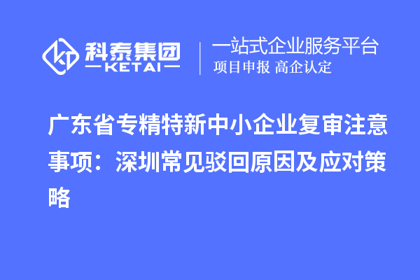 廣東省專精特新中小企業(yè)復審注意事項：深圳常見駁回原因及應對策略