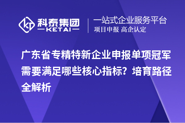 廣東省專精特新企業(yè)申報單項冠軍需要滿足哪些核心指標？培育路徑全解析